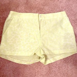 H&M Conscious Collection Green Jacquard Short